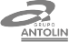 Группа Антолин